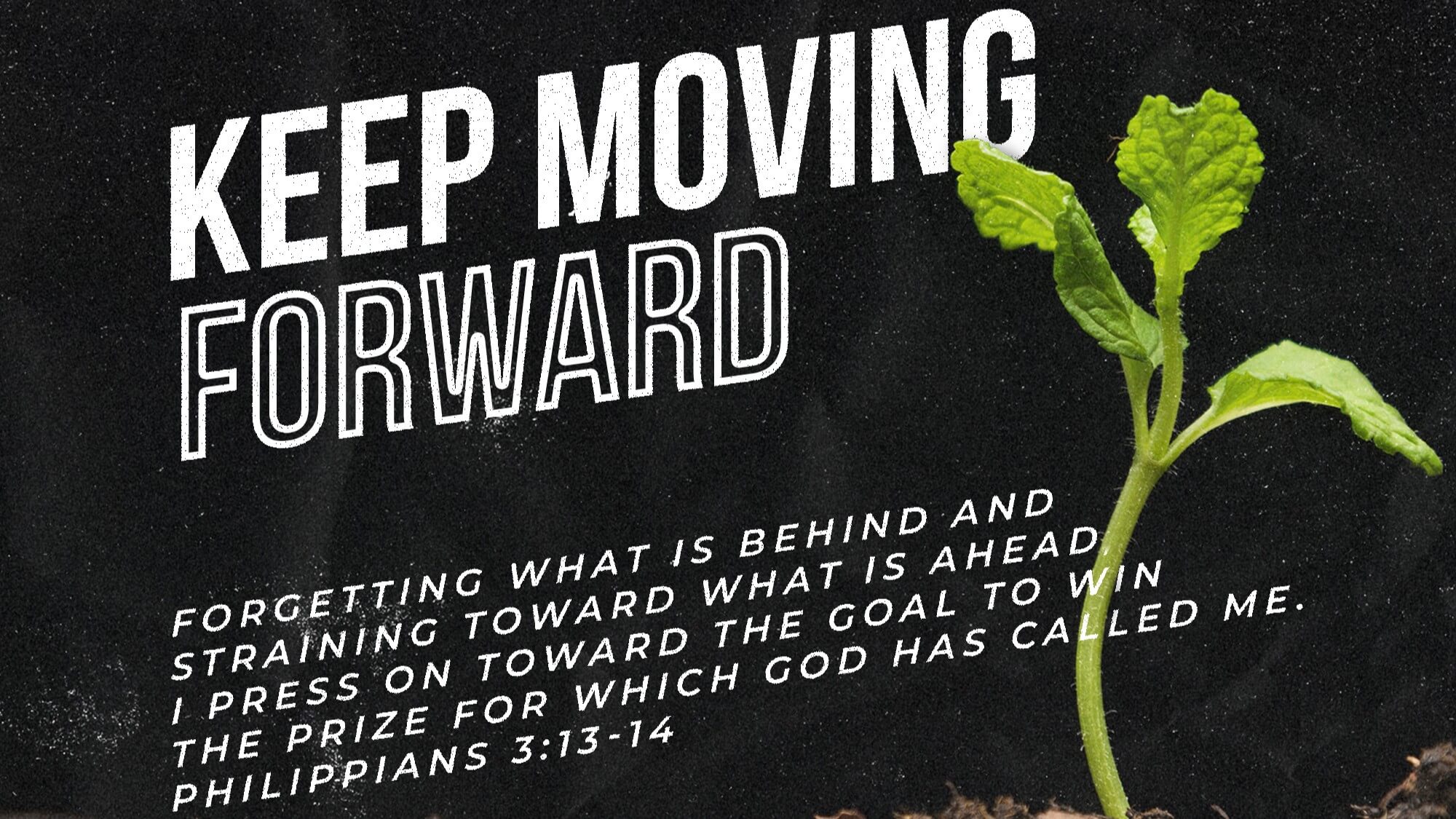 Scripture
