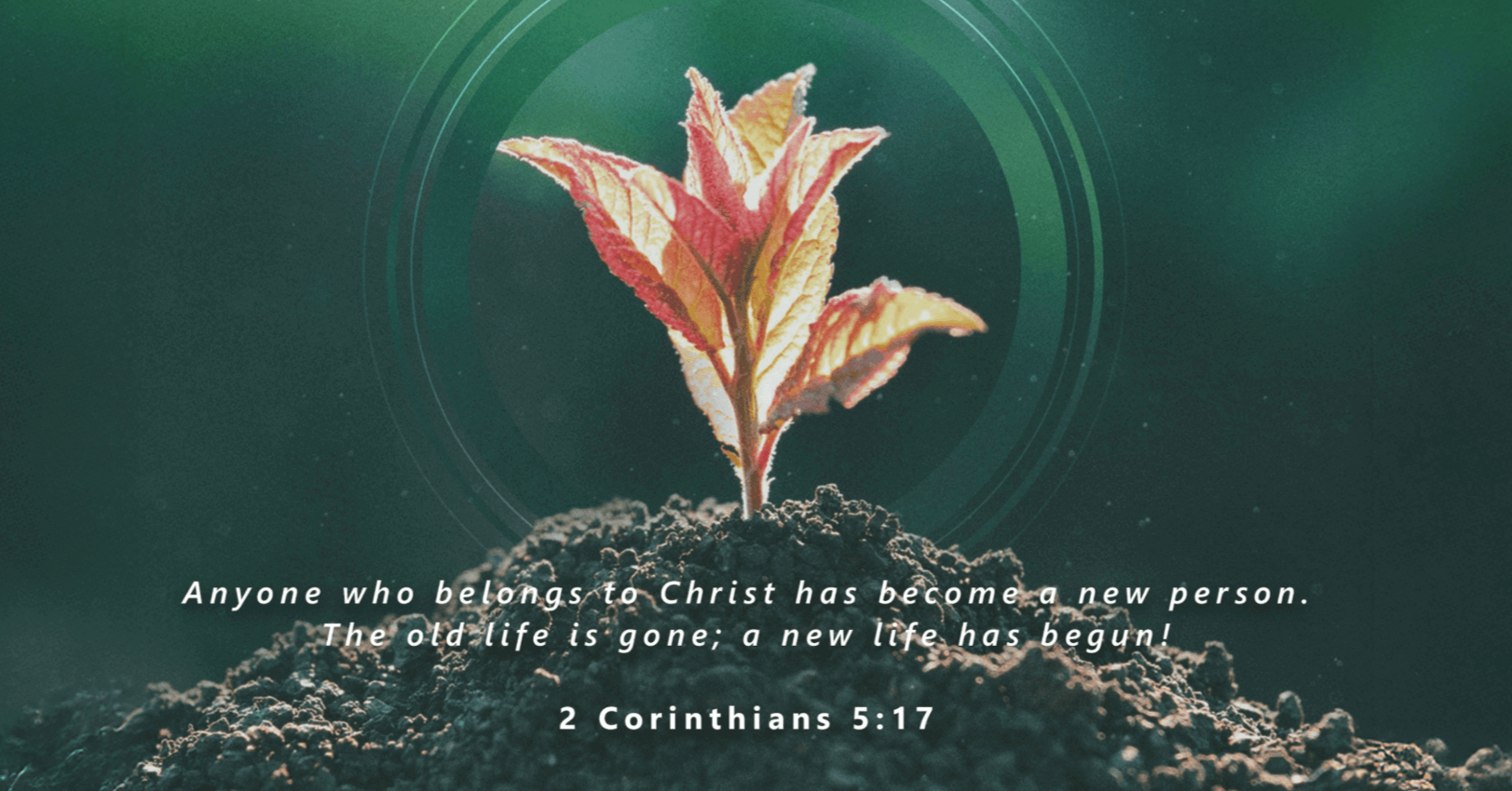 Scripture
